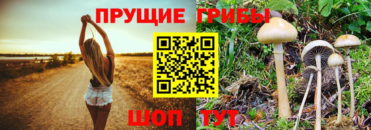 Псилоцибиновые грибы ЛСД  как найти закладки  Вход с VPN  Арзамас  Галлюциногенные грибы мицелий 