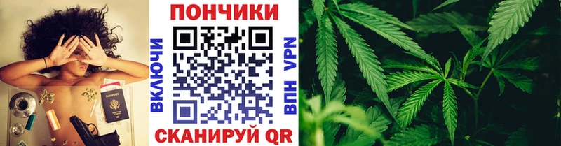 Каннабис сатива  omg ссылки  Арзамас  магазин продажи  